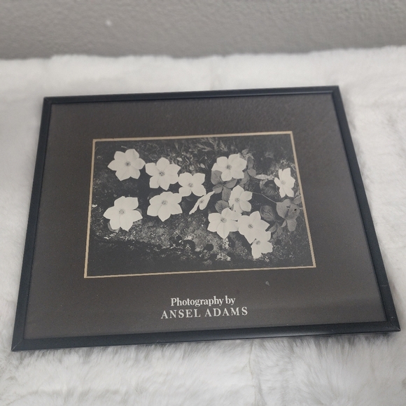 Ansel Adam's Framed Photography - Picture 3 of 8